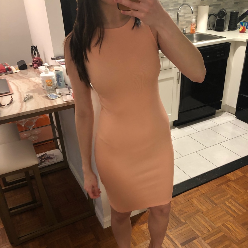 Bodycon Blush Dress